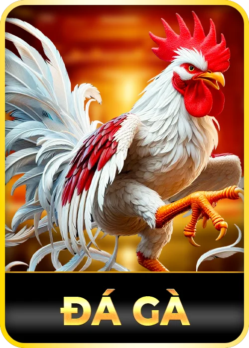 đá gà 88vv