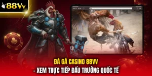 Đá Gà Casino 88VV - Xem Trực Tiếp Đấu Trường Quốc Tế