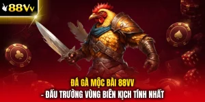 Đá Gà Mộc Bài 88VV - Đấu Trường Vùng Biên Kịch Tính Nhất